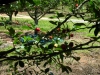 DSCN0179.jpg