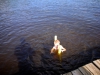 DSCN0297.jpg