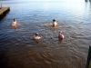 DSCN0300.jpg