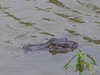 DSCN1640.JPG