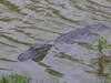 DSCN1641.JPG