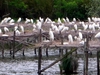 DSCN1645.JPG