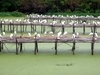 DSCN1648.JPG