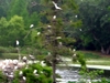 DSCN1652.JPG
