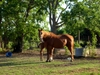 DSCN1702.JPG