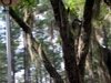 DSCN1761.JPG