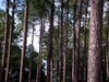 DSCN1763.JPG