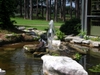 DSCN1764.JPG