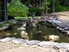 DSCN1765.JPG