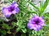 DSCN1766.JPG
