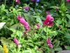 DSCN1769.JPG