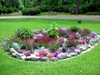 DSCN1770.JPG