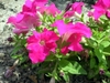 DSCN1771.JPG