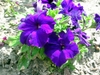 DSCN1772.JPG