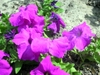 DSCN1773.JPG