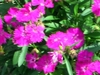 DSCN1775.JPG