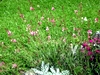 DSCN1776.JPG