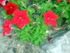 DSCN1777.JPG