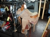 DSCN1779.JPG