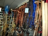 DSCN1780.JPG