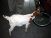 DSCN1813.JPG