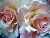 DSCN1845.JPG