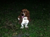 DSCN1861.JPG