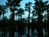 DSCN1867.JPG