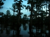 DSCN1869.JPG