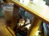 DSCN4350.JPG