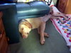 DSCN4351.JPG