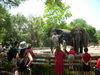 DSCN4362.JPG