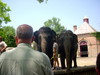 DSCN4363.JPG
