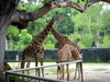 DSCN4371.JPG