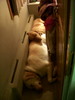 DSCN4419.JPG