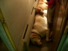 DSCN4420.JPG