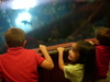 DSCN4459.JPG