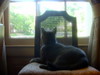 DSCN4479.JPG