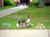 DSCN4525.JPG