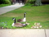 DSCN4526.JPG