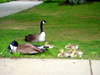 DSCN4527.JPG