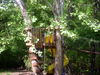 DSCN4537.JPG