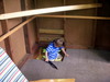 DSCN4551.JPG