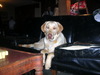 DSCN4283.JPG