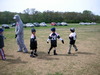 DSCN4481.jpg