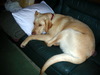 DSCN4487.jpg