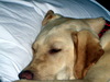 DSCN4489.jpg