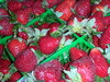 DSCN4497.jpg
