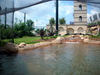 DSCN4501.jpg