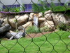 DSCN4502.jpg